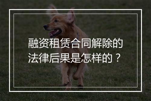 融资租赁合同解除的法律后果是怎样的？