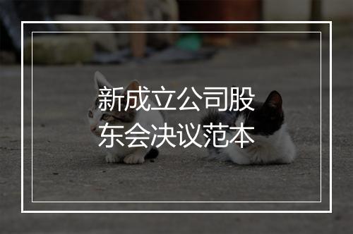 新成立公司股东会决议范本