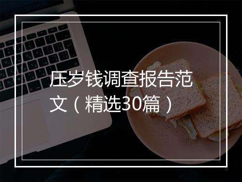 压岁钱调查报告范文（精选30篇）