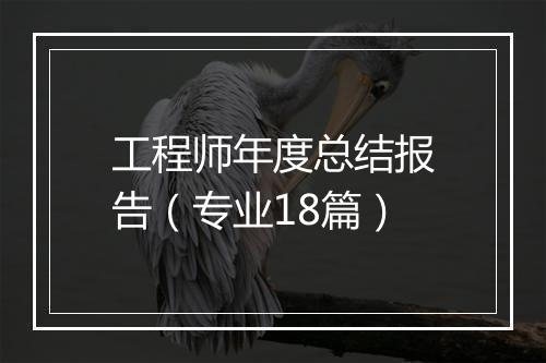 工程师年度总结报告（专业18篇）