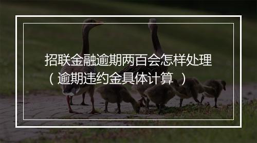 招联金融逾期两百会怎样处理（逾期违约金具体计算 ）
