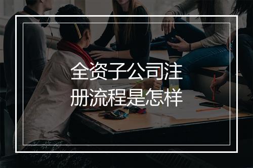 全资子公司注册流程是怎样