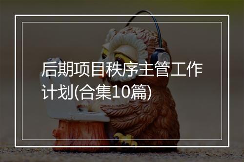 后期项目秩序主管工作计划(合集10篇)