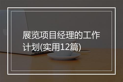 展览项目经理的工作计划(实用12篇)