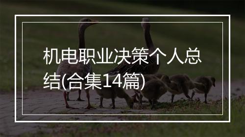 机电职业决策个人总结(合集14篇)