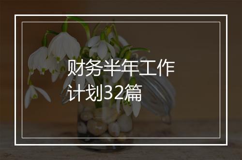 财务半年工作计划32篇