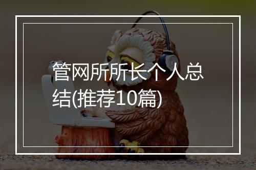 管网所所长个人总结(推荐10篇)