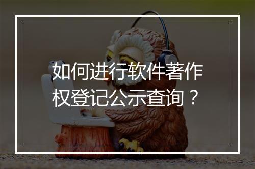 如何进行软件著作权登记公示查询？