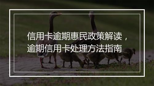 信用卡逾期惠民政策解读，逾期信用卡处理方法指南