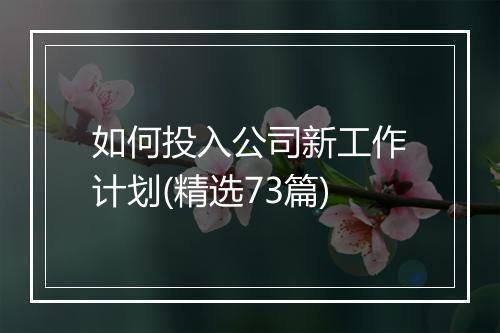 如何投入公司新工作计划(精选73篇)