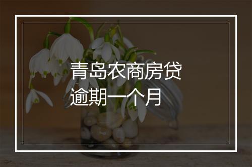 青岛农商房贷逾期一个月