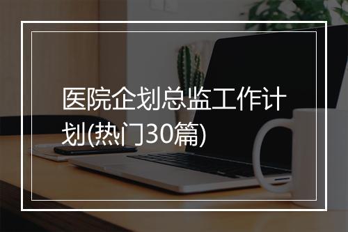 医院企划总监工作计划(热门30篇)