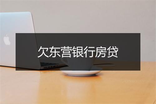欠东营银行房贷