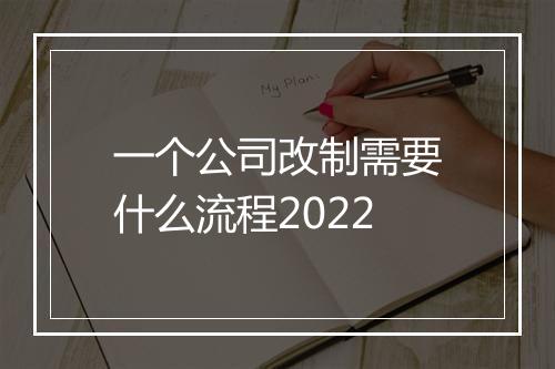 一个公司改制需要什么流程2022