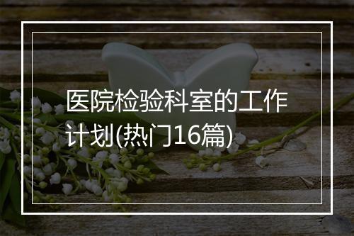 医院检验科室的工作计划(热门16篇)
