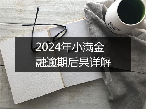2024年小满金融逾期后果详解