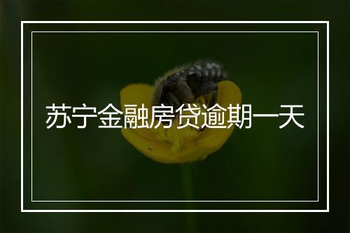 苏宁金融房贷逾期一天
