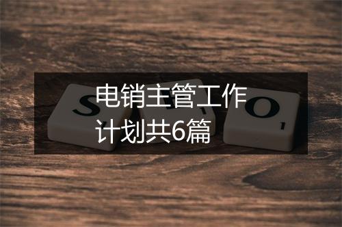 电销主管工作计划共6篇