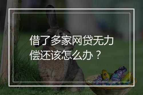 借了多家网贷无力偿还该怎么办？