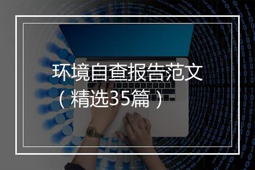 环境自查报告范文（精选35篇）