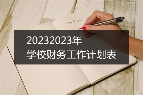 20232023年学校财务工作计划表