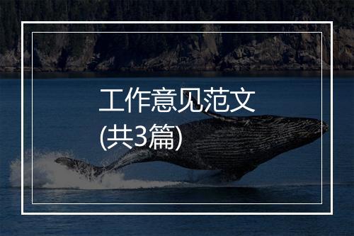 工作意见范文(共3篇)