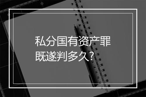 私分国有资产罪既遂判多久?
