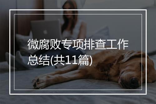 微腐败专项排查工作总结(共11篇)