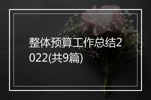 整体预算工作总结2022(共9篇)