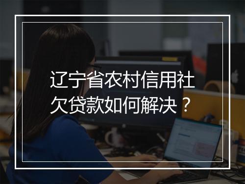 辽宁省农村信用社欠贷款如何解决？