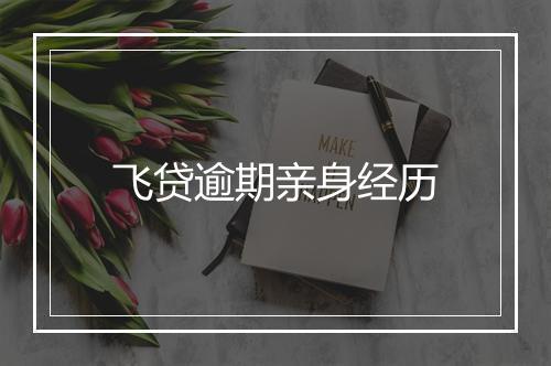 飞贷逾期亲身经历