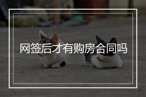 网签后才有购房合同吗