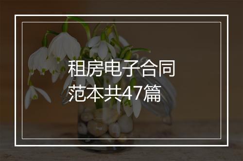 租房电子合同范本共47篇