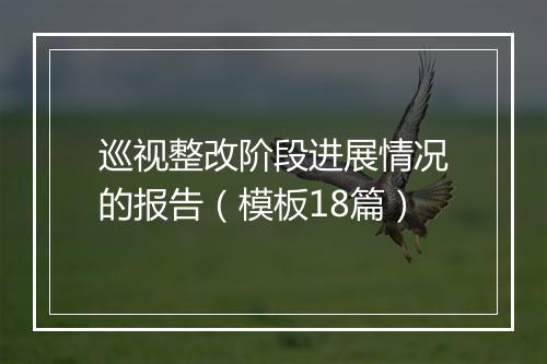 巡视整改阶段进展情况的报告（模板18篇）