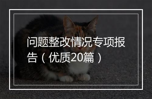 问题整改情况专项报告（优质20篇）