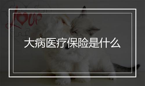 大病医疗保险是什么