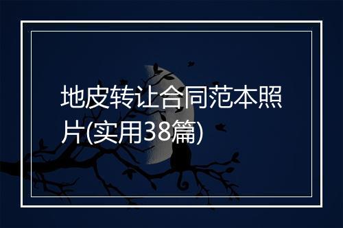 地皮转让合同范本照片(实用38篇)