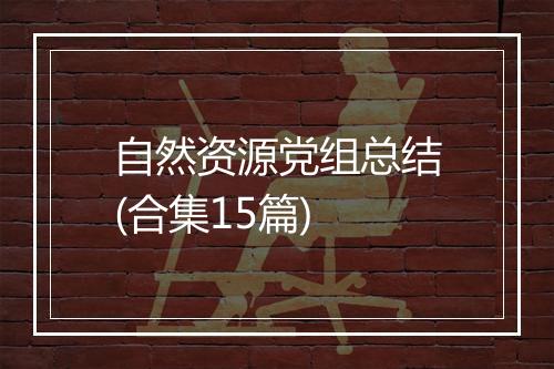 自然资源党组总结(合集15篇)