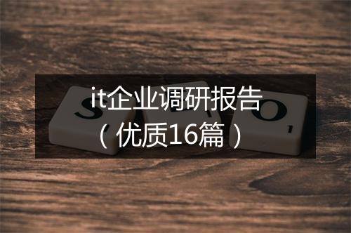 it企业调研报告（优质16篇）