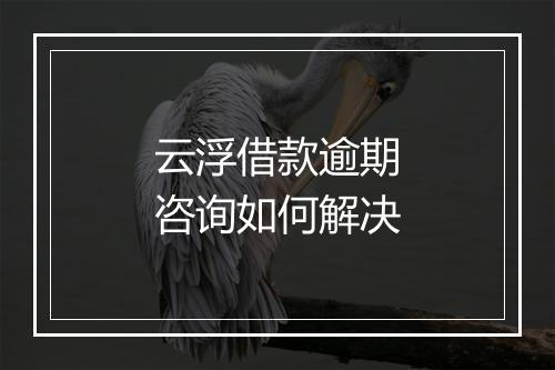 云浮借款逾期咨询如何解决