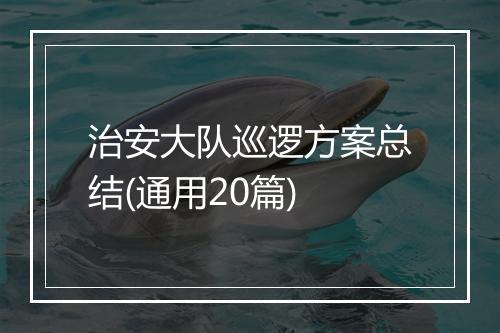 治安大队巡逻方案总结(通用20篇)