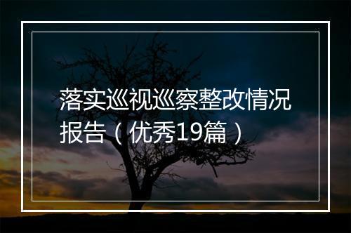 落实巡视巡察整改情况报告（优秀19篇）