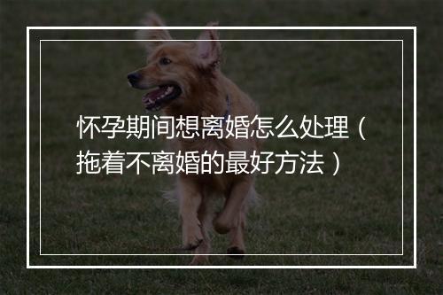 怀孕期间想离婚怎么处理（拖着不离婚的最好方法）