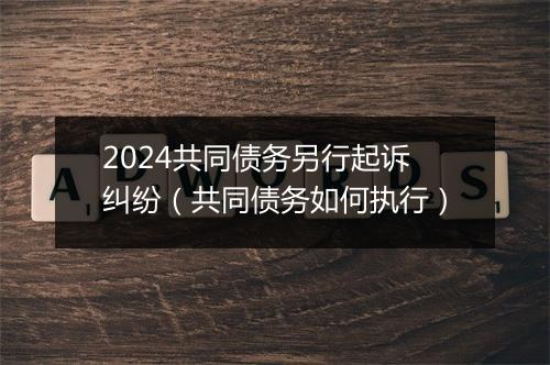 2024共同债务另行起诉纠纷（共同债务如何执行）