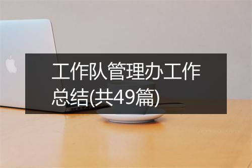 工作队管理办工作总结(共49篇)