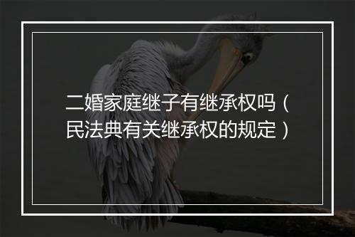 二婚家庭继子有继承权吗（民法典有关继承权的规定）