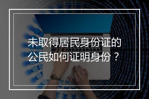 未取得居民身份证的公民如何证明身份？