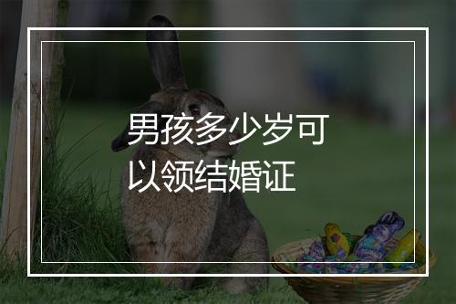 男孩多少岁可以领结婚证