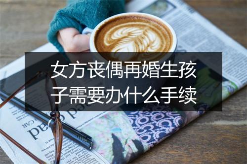 女方丧偶再婚生孩子需要办什么手续