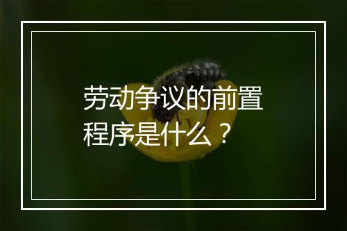 劳动争议的前置程序是什么？